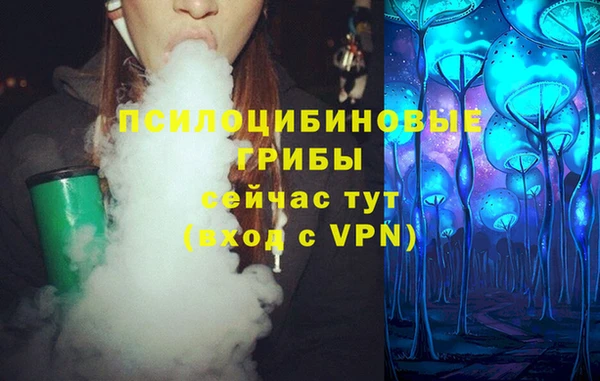 прущие крисы Верхний Тагил
