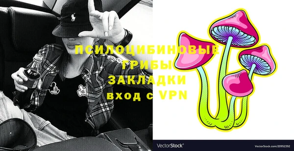 бошки Верея