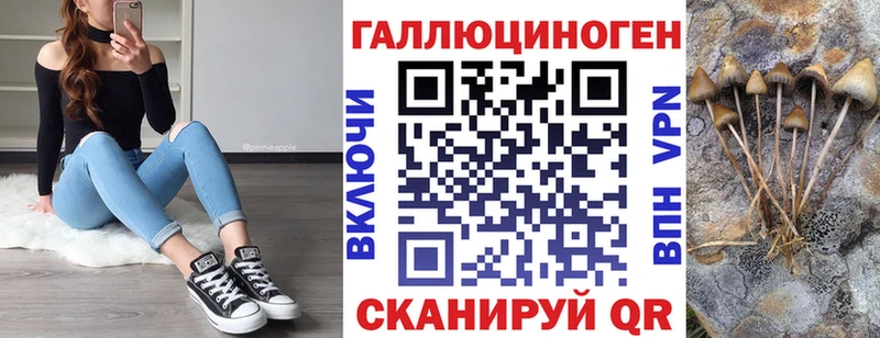 наркотики  hydra ССЫЛКА  Псилоцибиновые грибы ЛСД  Пятигорск 